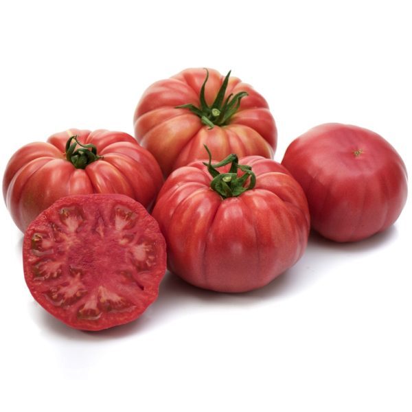 pomidor Cassarosa