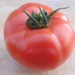 pomidor HTP