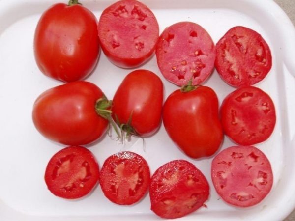 pomidor dyno