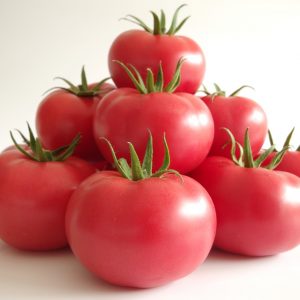 pomidor manistella