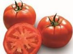 pomidor tsarine