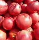 pomidor pink bomb