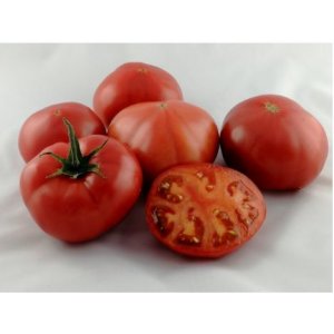 pomidor fushcia