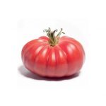 pomidor monterosa
