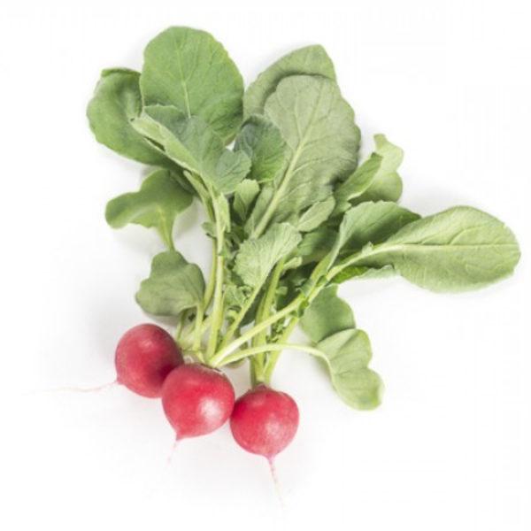 Rzodkiewka Belsay RZ